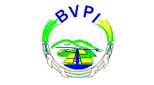 bvpi