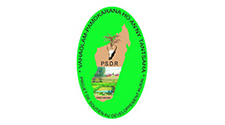 psdr